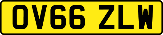 OV66ZLW