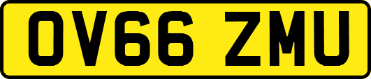 OV66ZMU
