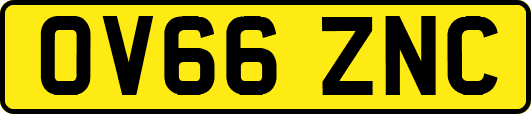 OV66ZNC