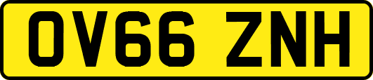 OV66ZNH