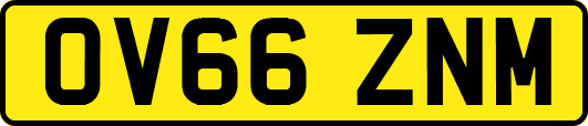 OV66ZNM
