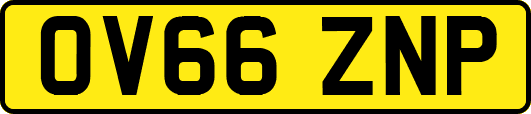 OV66ZNP