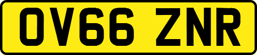 OV66ZNR