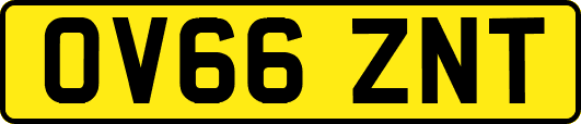 OV66ZNT