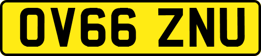 OV66ZNU