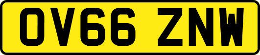 OV66ZNW