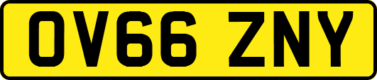 OV66ZNY