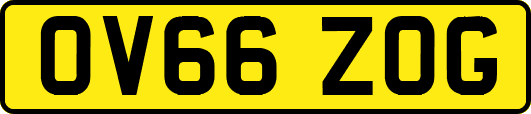 OV66ZOG