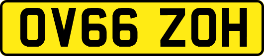 OV66ZOH