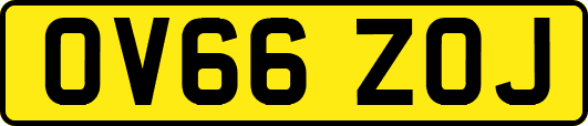 OV66ZOJ