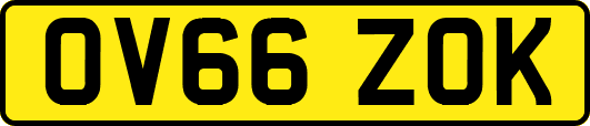 OV66ZOK