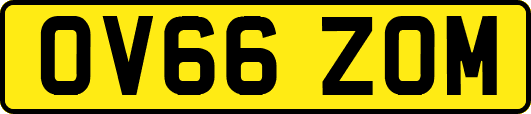 OV66ZOM