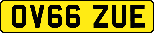 OV66ZUE