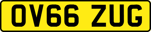 OV66ZUG