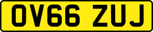 OV66ZUJ