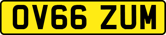 OV66ZUM
