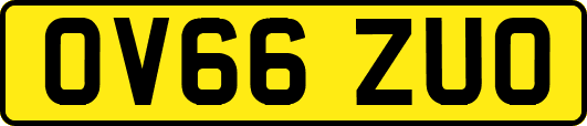 OV66ZUO