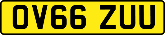 OV66ZUU