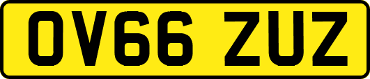 OV66ZUZ