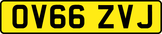 OV66ZVJ