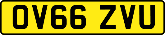 OV66ZVU