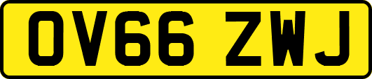 OV66ZWJ