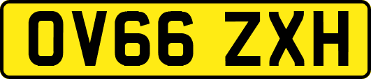 OV66ZXH