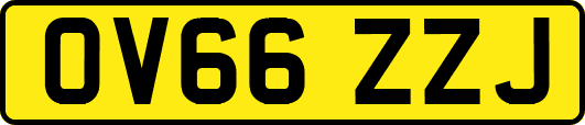 OV66ZZJ