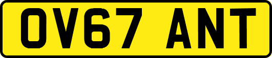 OV67ANT