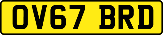 OV67BRD