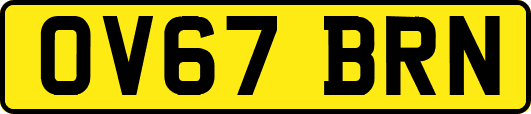 OV67BRN
