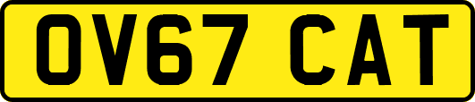 OV67CAT