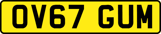 OV67GUM