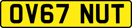 OV67NUT