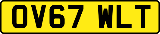 OV67WLT