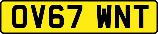 OV67WNT