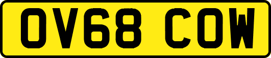 OV68COW