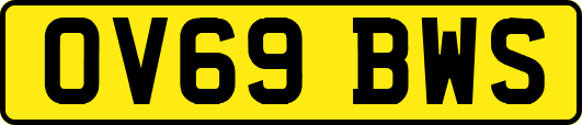 OV69BWS