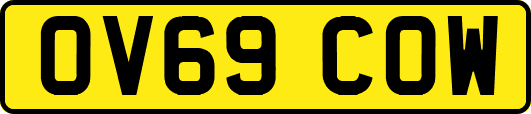 OV69COW