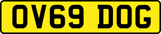 OV69DOG