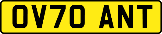 OV70ANT