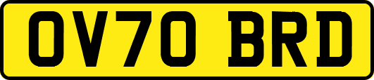 OV70BRD