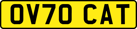 OV70CAT