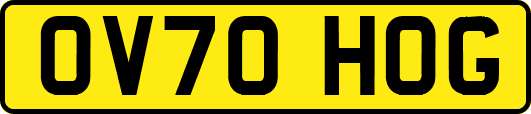OV70HOG