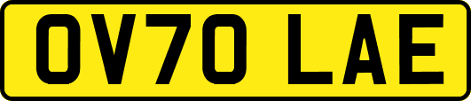 OV70LAE