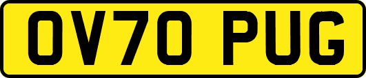 OV70PUG
