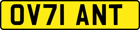 OV71ANT