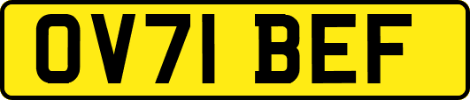 OV71BEF