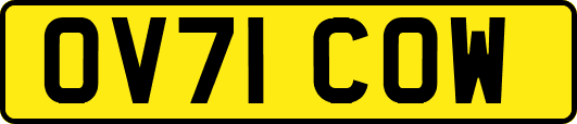 OV71COW