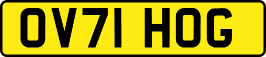 OV71HOG